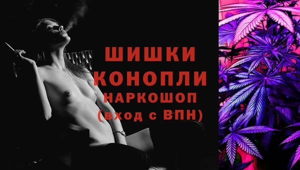 амф Алексин
