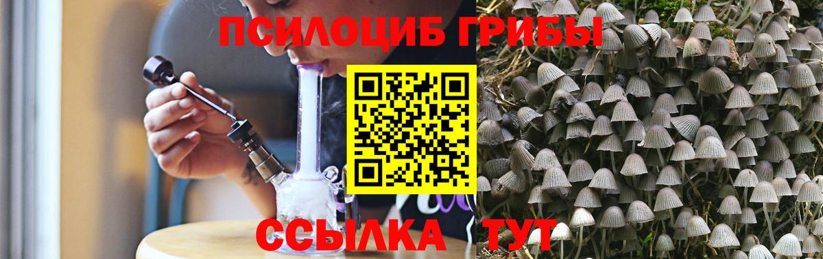 Ишим  Псилоцибиновые грибы мицелий  Галлюциногенные грибы ЛСД  Вход с VPN 