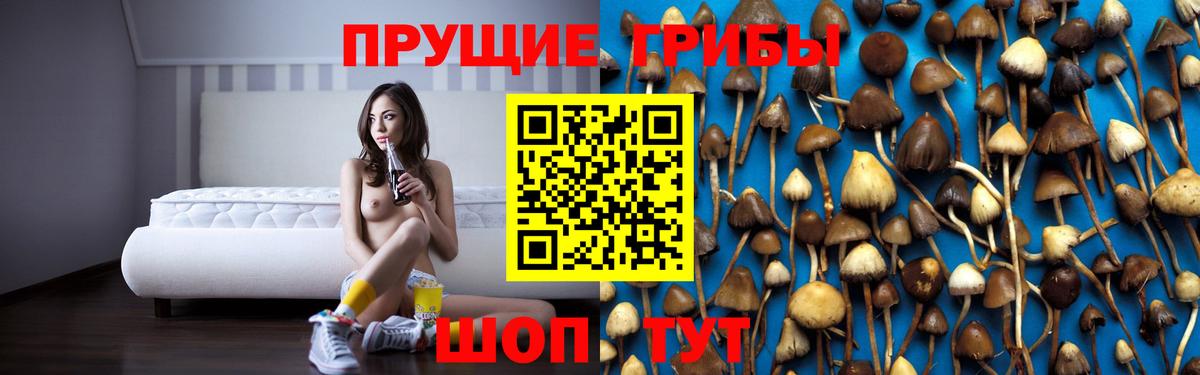 Псилоцибиновые грибы мухоморы Ишим
